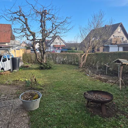 Seeschwalbe